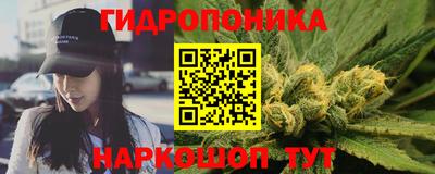 индика Рыбинск