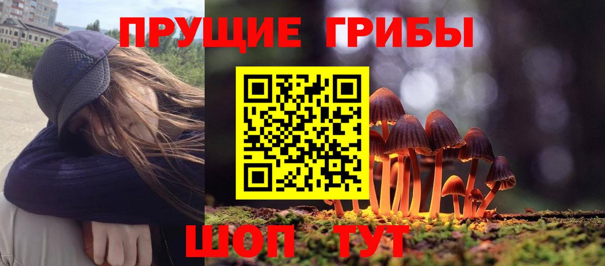 как найти   Вход с VPN  Дзержинский  Галлюциногенные грибы GOLDEN TEACHER  Псилоцибиновые грибы Cubensis 